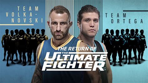 the ultimate fighter free